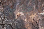 photo thumbnail #15