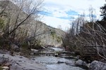 photo thumbnail #6