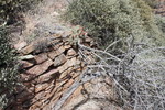 photo thumbnail #13