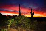 photo thumbnail #1