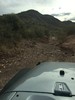 photo thumbnail #14