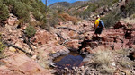 photo thumbnail #4