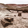 photo thumbnail #3