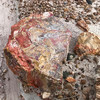 photo thumbnail #9
