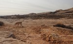 photo thumbnail #2