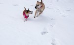 photo thumbnail #6