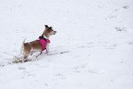 photo thumbnail #7