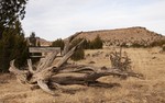 photo thumbnail #13