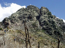 photo thumbnail #13