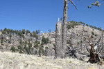 photo thumbnail #10