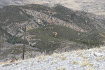 photo thumbnail #13