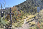 photo thumbnail #2