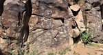 photo thumbnail #15