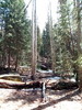 photo thumbnail #10