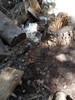 photo thumbnail #9