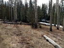 photo thumbnail #4