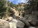 photo thumbnail #5