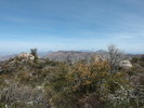 photo thumbnail #9