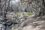 photo thumbnail #5