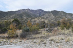 photo thumbnail #1