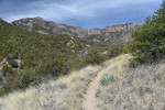 photo thumbnail #5