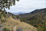 photo thumbnail #6