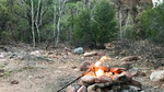 photo thumbnail #11