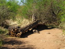 photo thumbnail #4