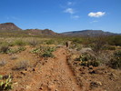 photo thumbnail #7