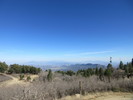 photo thumbnail #3