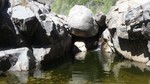 photo thumbnail #9