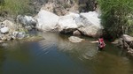 photo thumbnail #12