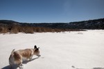 photo thumbnail #7