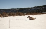photo thumbnail #8