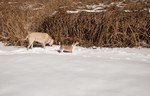 photo thumbnail #9