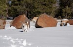 photo thumbnail #3