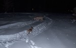 photo thumbnail #11