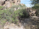 photo thumbnail #3