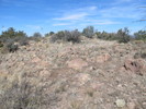 photo thumbnail #8
