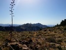 photo thumbnail #13