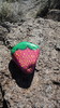photo thumbnail #10