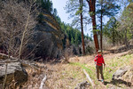 photo thumbnail #4