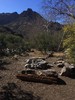 photo thumbnail #5