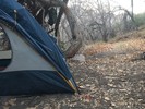 photo thumbnail #9