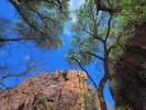 photo thumbnail #14