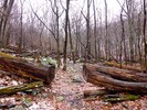 photo thumbnail #5