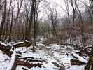 photo thumbnail #6