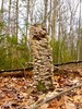 photo thumbnail #12