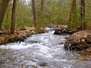 photo thumbnail #13