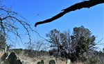 photo thumbnail #14